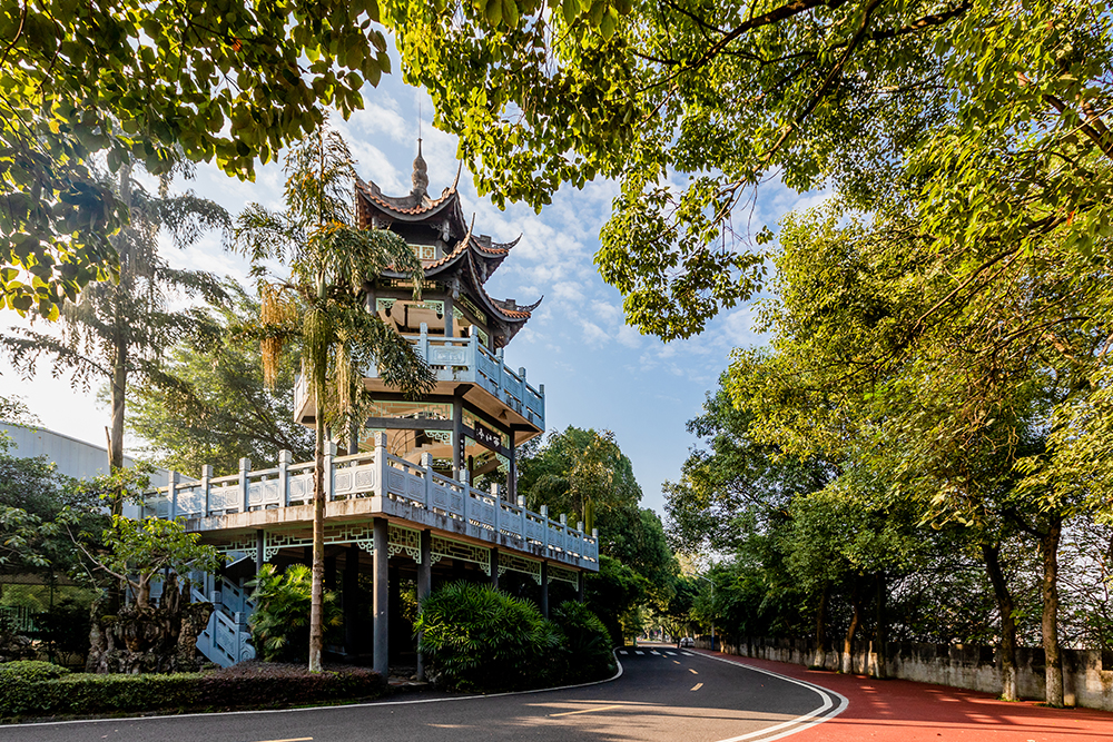 ����W(xu��)Ժ�B(y��ng)�o(h��)